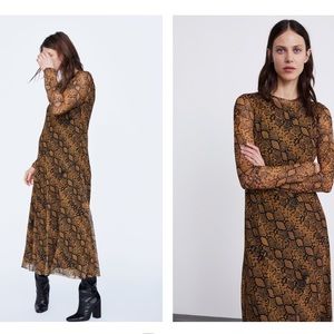 ZARA snake skin long sleeve dress. Size L.